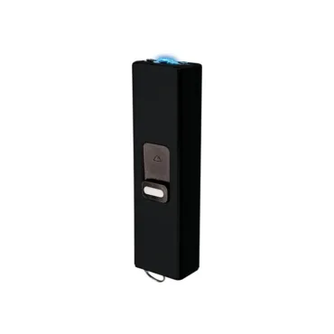 Keychain stun gun USB